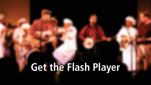 Get the Flash Player